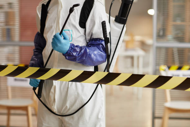 Professional Sewage Cleanup technician working in Glen Haven, CO